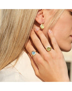 Earrings with a loop made of brushed 925 silver, 24k gold plated (gold finish /Fashion gifts